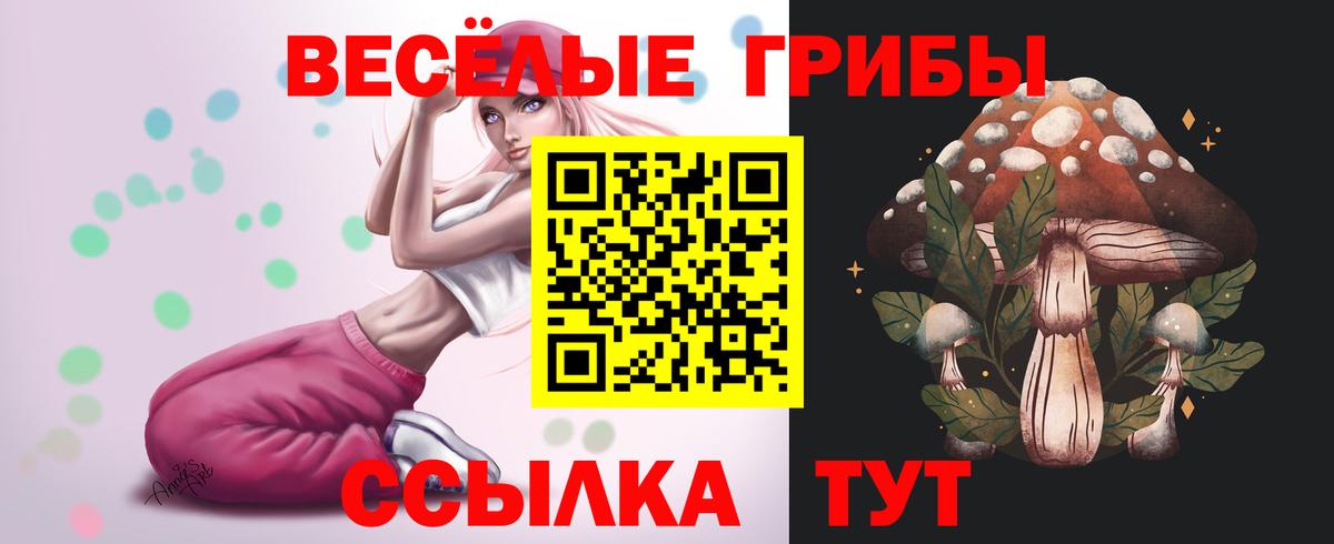 Псилоцибиновые грибы Psilocybine cubensis  купить закладку  Мегион  Вход с VPN 
